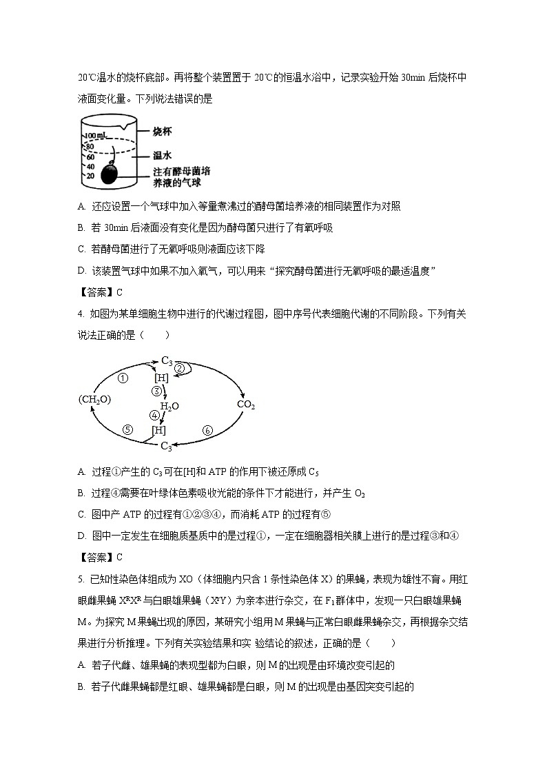 河北省邢台市部分学校2023届高三生物上学期12月月考试卷（Word版附答案）第2页