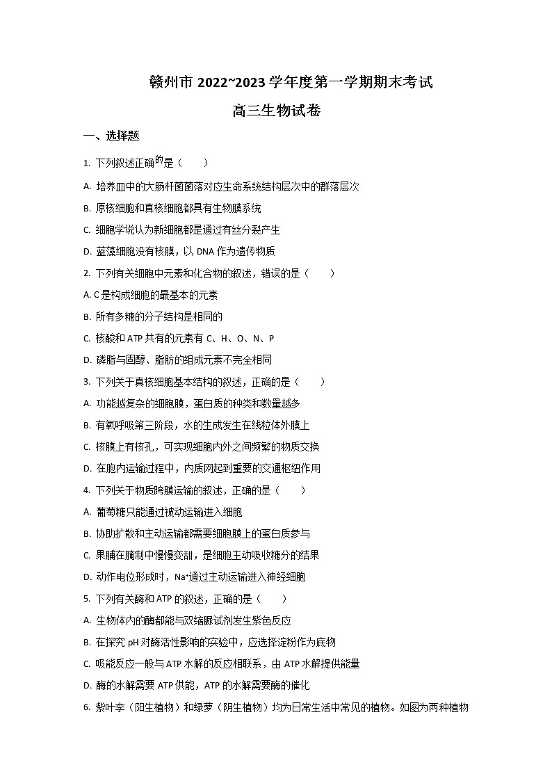 2023届江西省赣州市高三上学期1月期末生物试题含解析01