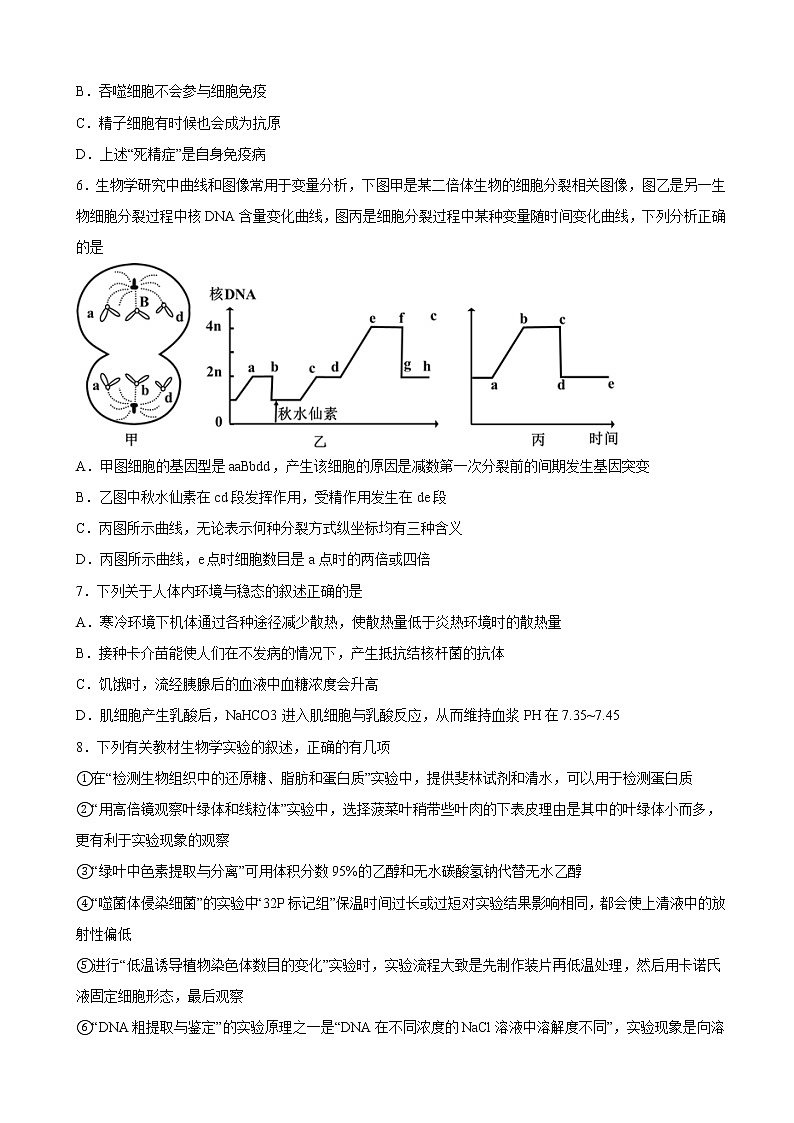 2023届宁夏石嘴山市第三中学高三上学期期末生物试题含解析02