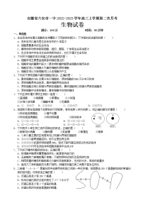 2023届安徽省六安市一中高三上学期第二次月考生物试卷含答案