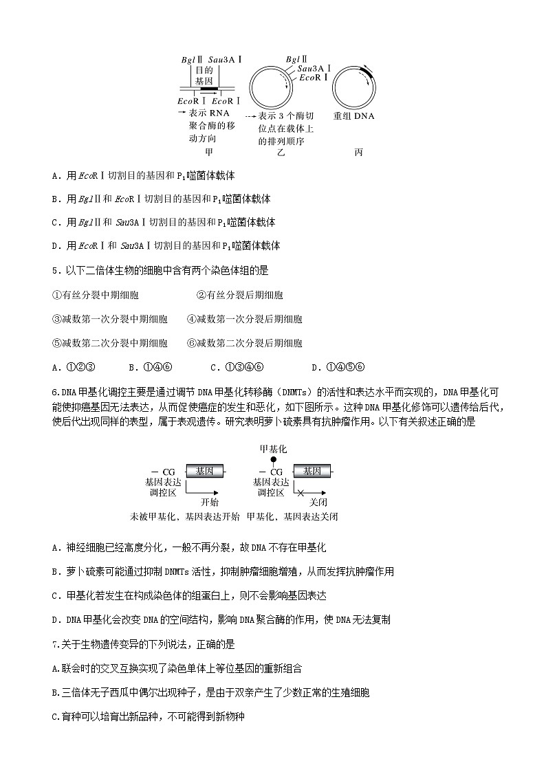 2022-2023学年湖南省永州市第一中学高三上学期元月考试生物试卷含答案02