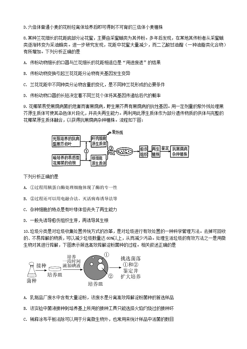 2022-2023学年湖南省永州市第一中学高三上学期元月考试生物试卷含答案03