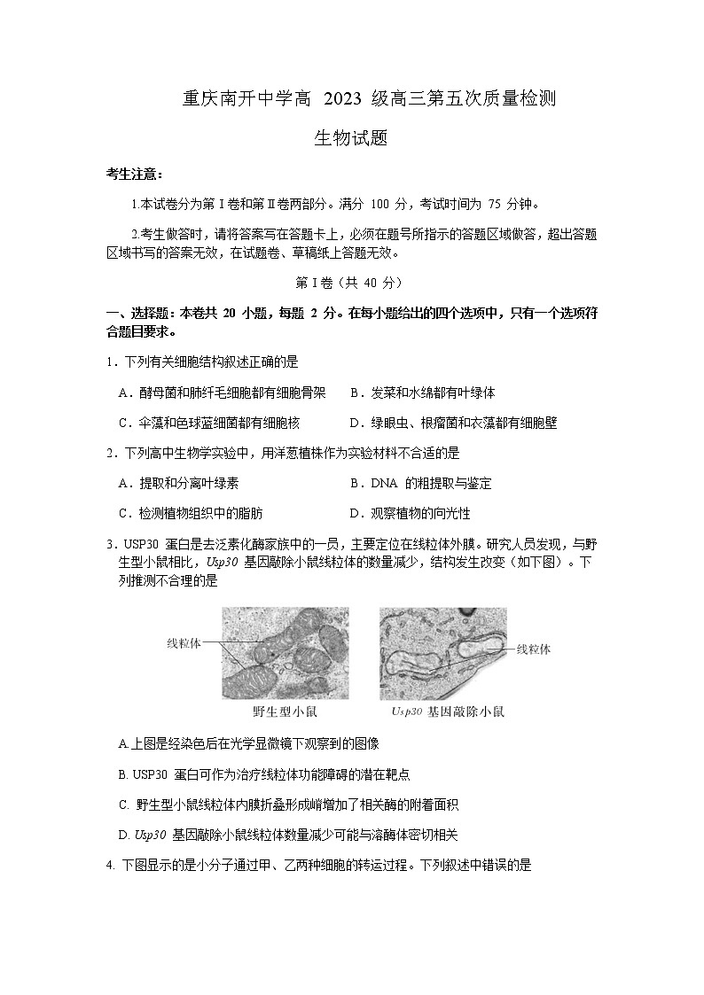 2022-2023学年重庆市南开中学校高三上学期质量检测（五）生物试题含答案01