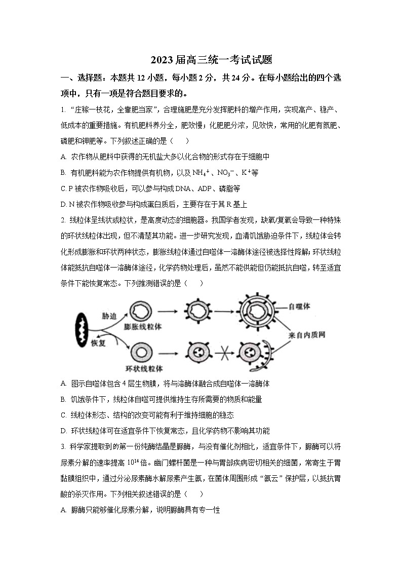 2023届湖南省衡阳市高三上学期第一次统一考试（一模）生物试题含答案第1页