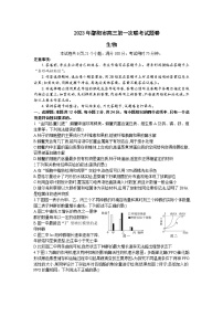 湖南省邵阳市2022-2023学年高三上学期第一次联考（一模）生物试题含答案