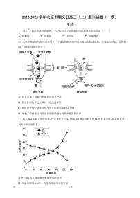 2022-2023学年北京市顺义区高三上学期期末生物试卷（一模）PDF版含答案