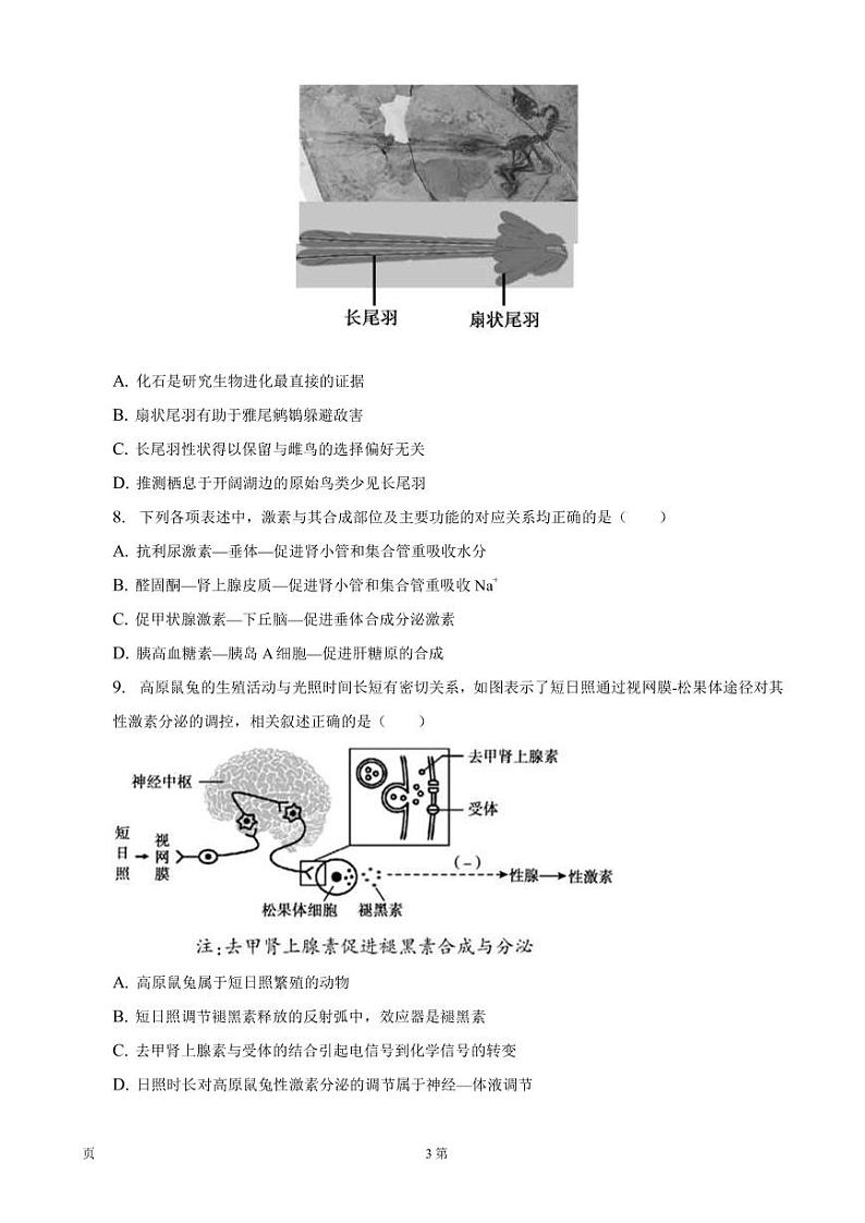 2022-2023学年北京市顺义区高三上学期期末生物试卷（一模）PDF版含答案03
