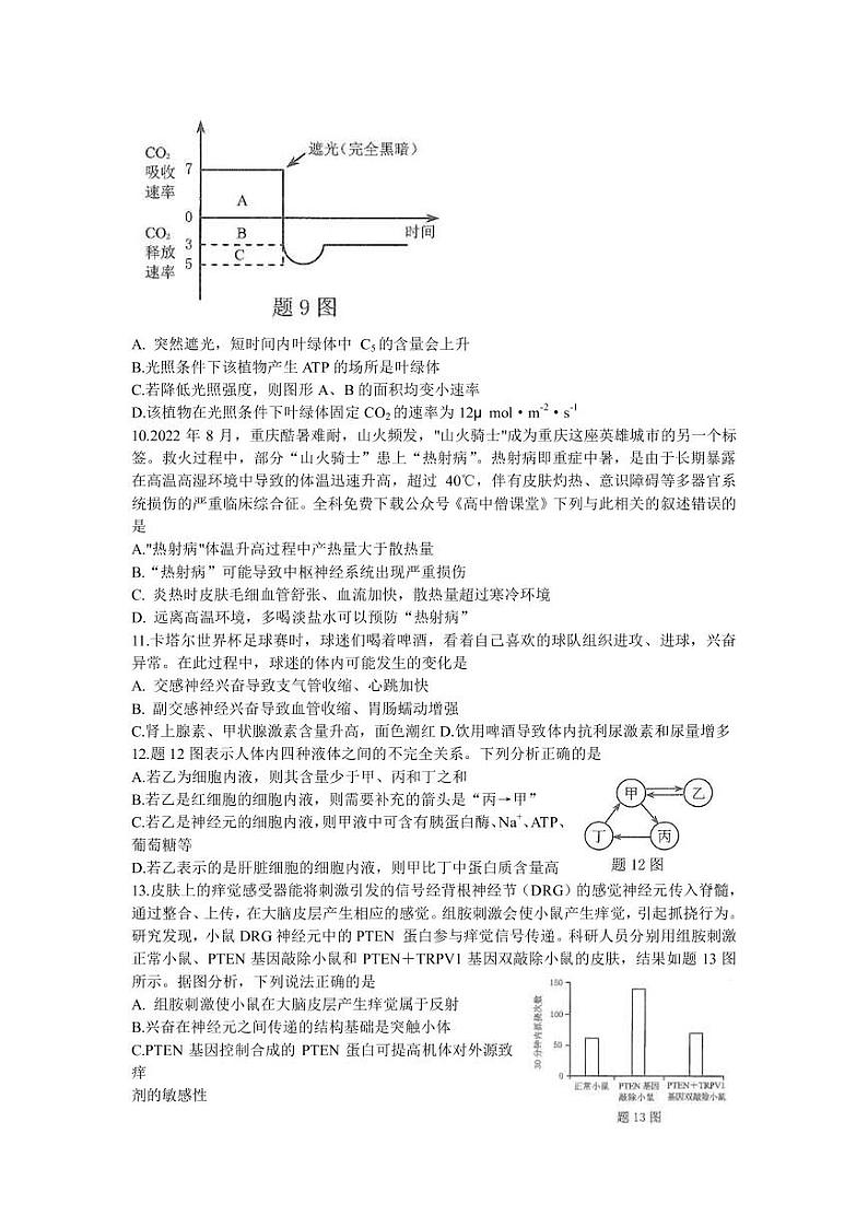 2022-2023学年重庆市高三上学期第一次联合诊断检测生物试题PDF版含答案03