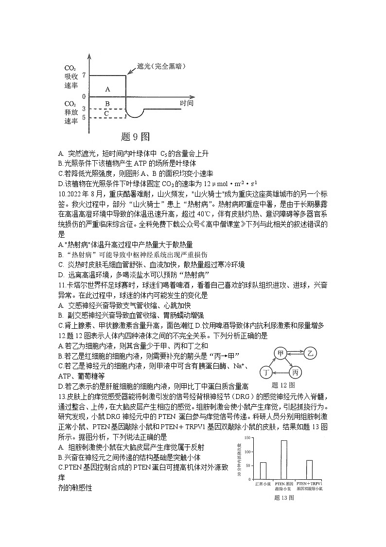2022-2023学年重庆市高三上学期第一次联合诊断检测生物试题PDF版含答案03