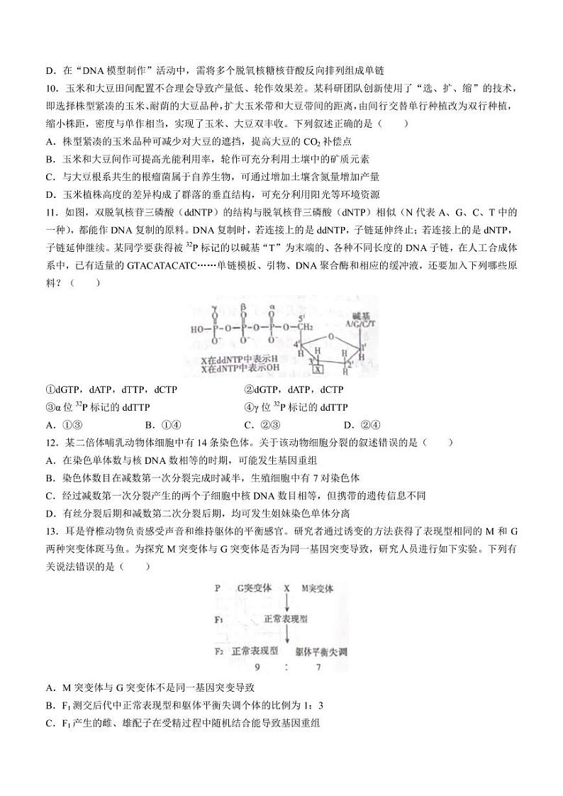 2022-2023学年河南省信阳市高中高三第二次质量检测生物试题PDF版含答案第3页