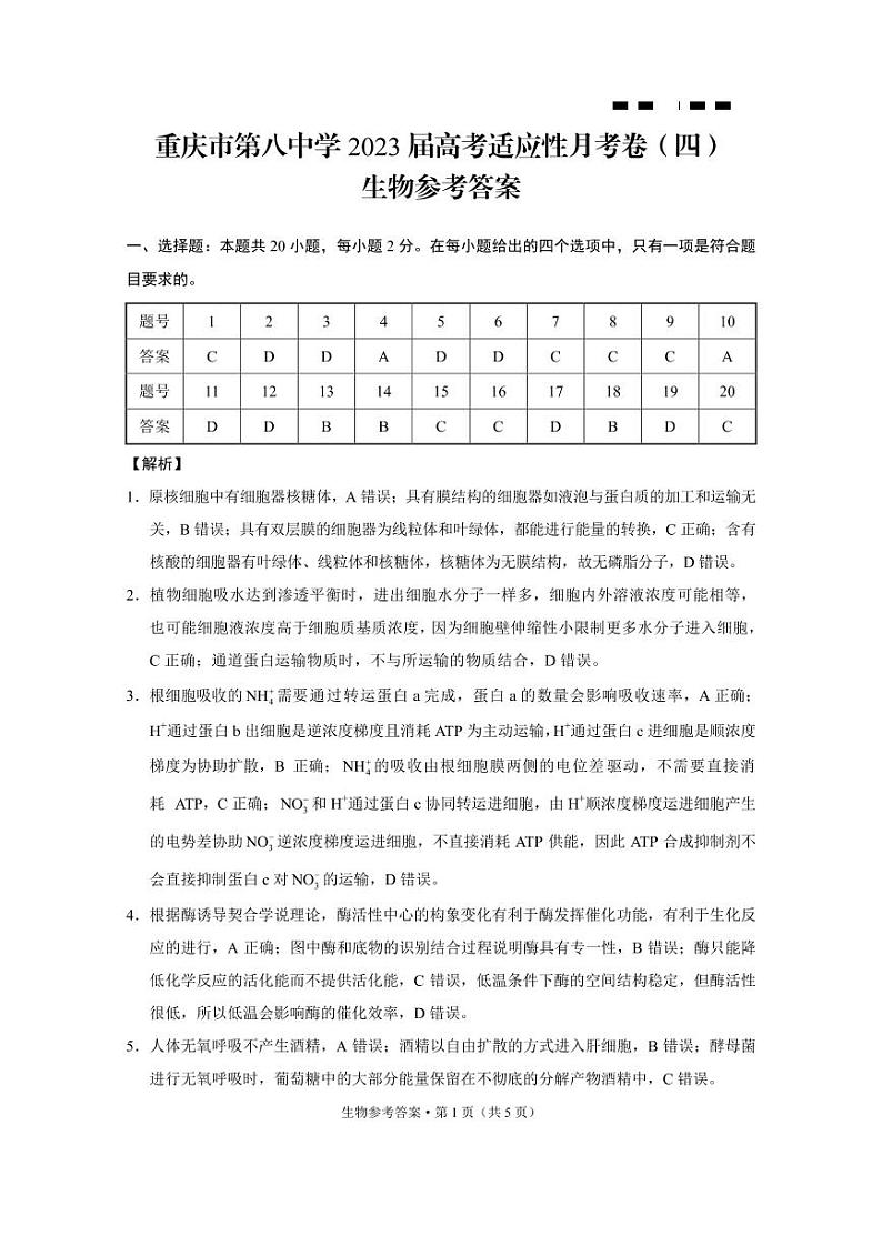 重庆市第八中学校2023届高考适应性月考卷（四）生物答案第1页