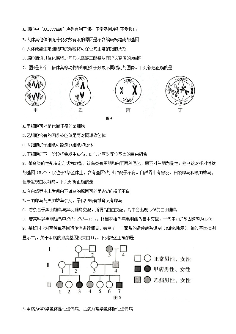 重庆市第八中学校2023届高考适应性月考卷（四）生物试卷（含部分解析）第3页