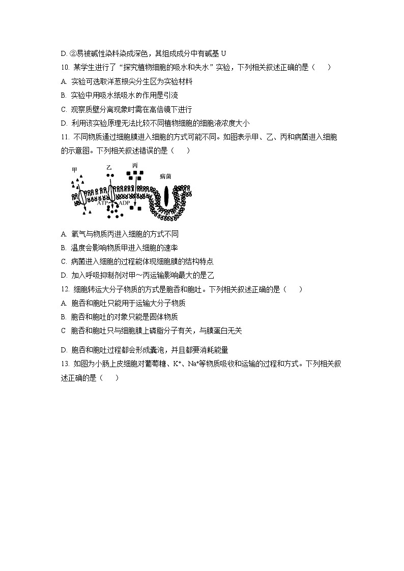 安徽省皖南十校2022-2023学年高一生物上学期期末考试试卷（Word版附答案）第3页