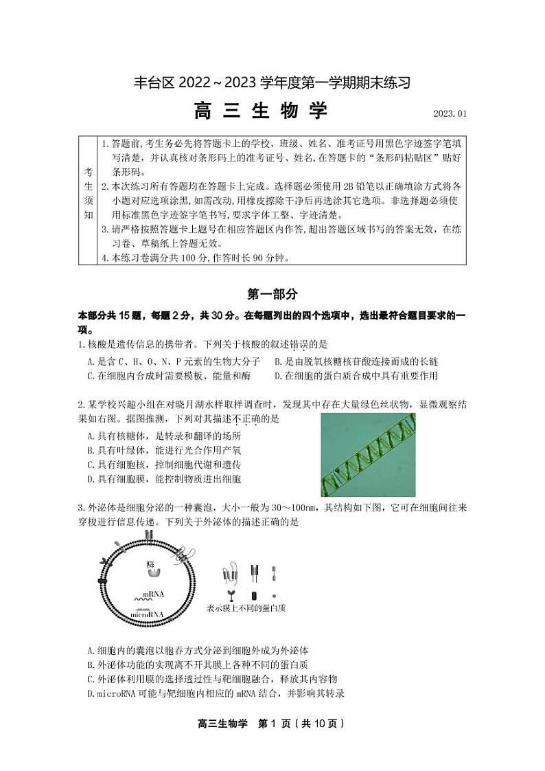 北京丰台区2022-2023学年高三生物上学期期末考试试卷（PDF版附答案）第1页