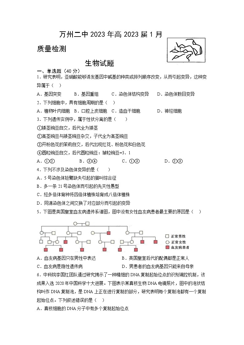 2023重庆市万州二中高三上学期1月质量检测生物试题含答案01