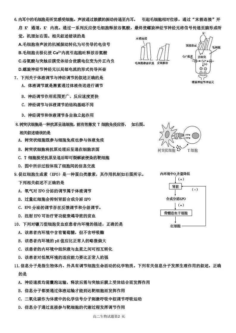 河北省邢台市第一中学2022-2023学年高二上学期期末生物试题第2页
