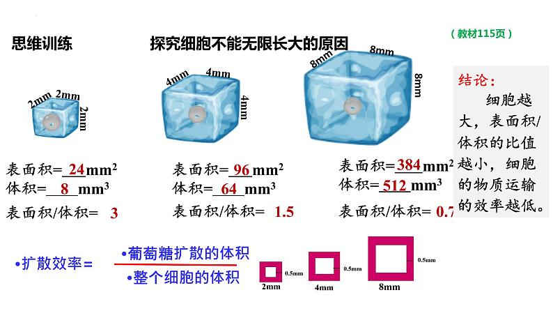 人教版（2019）生物学必修一6.1细胞的增殖（第一课时）PPT课件04