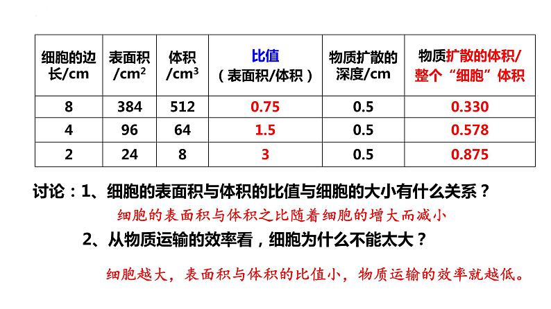 人教版（2019）生物学必修一6.1细胞的增殖（第一课时）PPT课件05