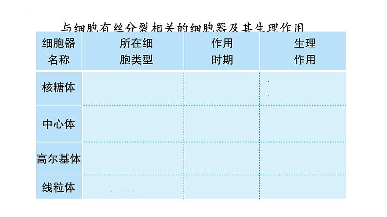 人教版（2019）生物学必修一6.1细胞的增殖（第二课时）PPT课件06