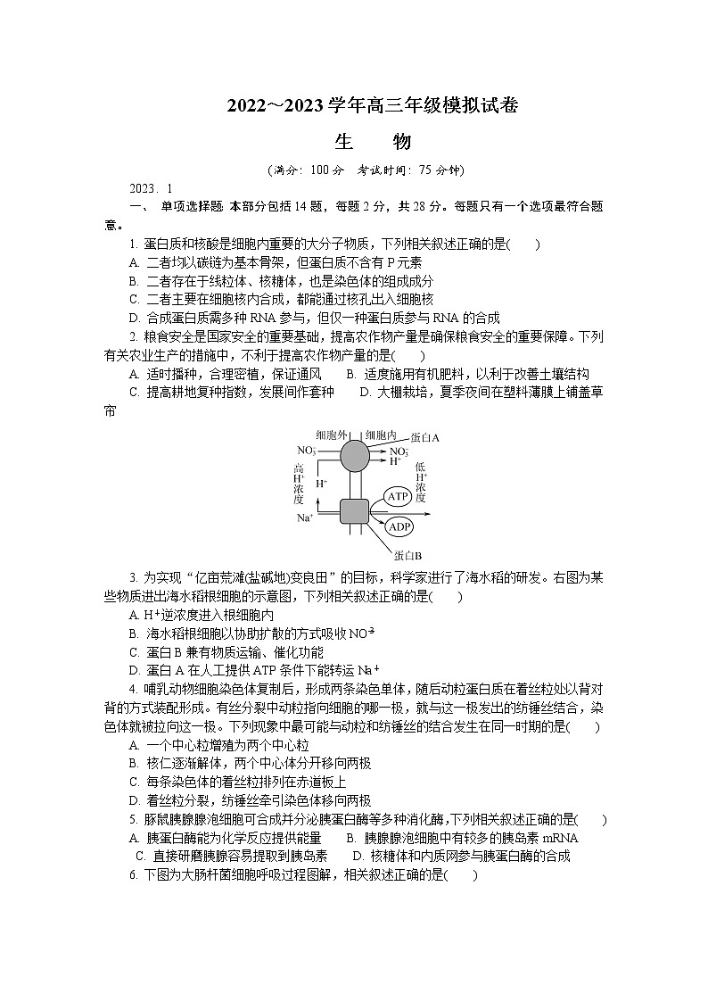江苏省泰州市2022-2023学年高三生物上学期期末考试试卷（Word版附答案）01