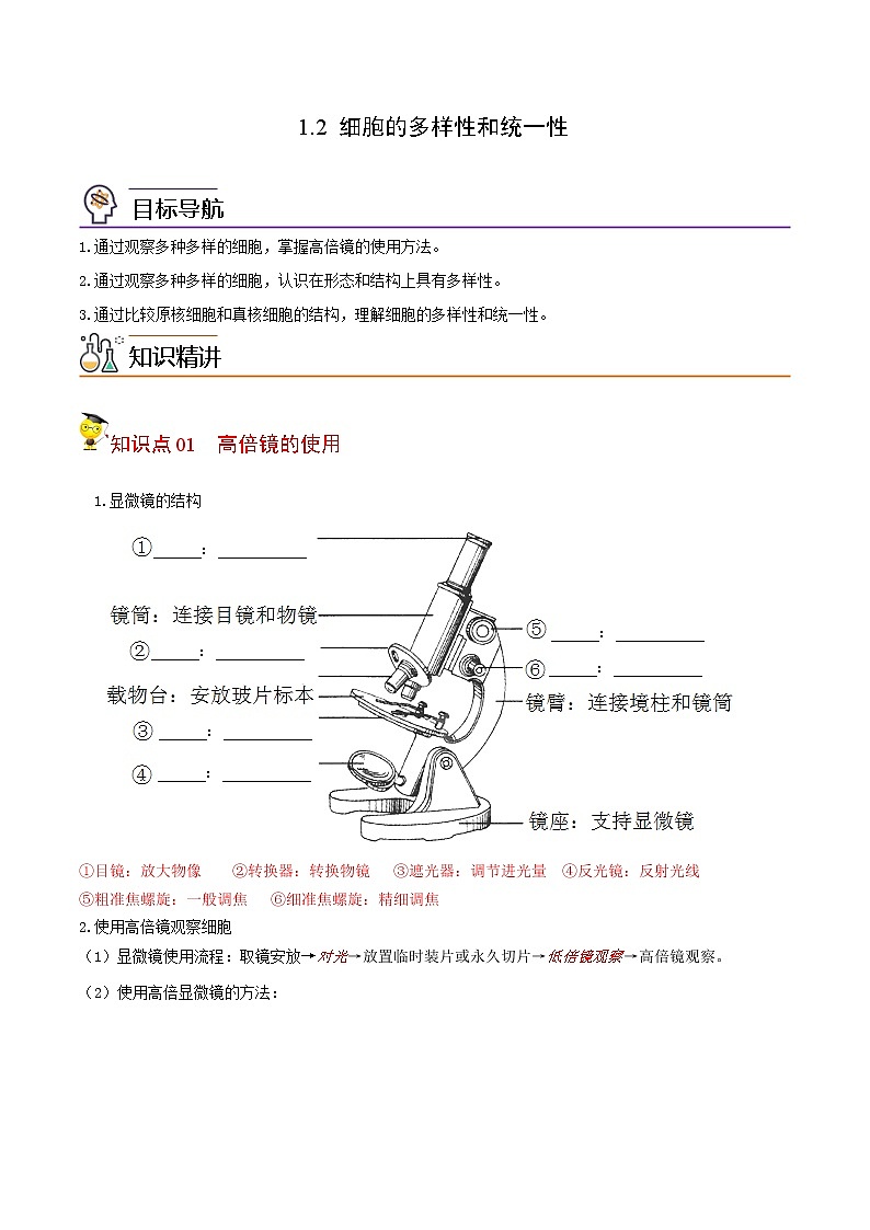 1.2 细胞的多样性和统一性（教师版）-高一生物同步精品讲义（人教2019必修1）01