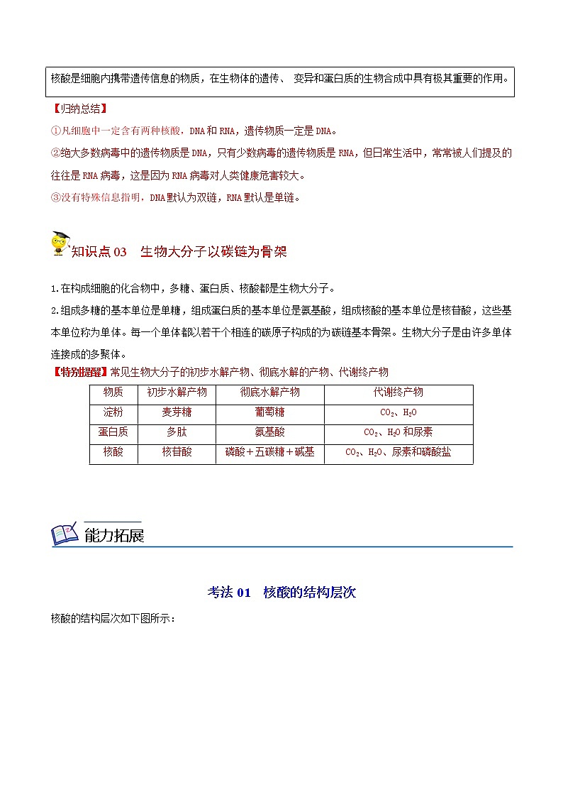 2.5 核酸是遗传信息的携带者（学生版）-高一生物同步精品讲义（人教2019必修1）第2页