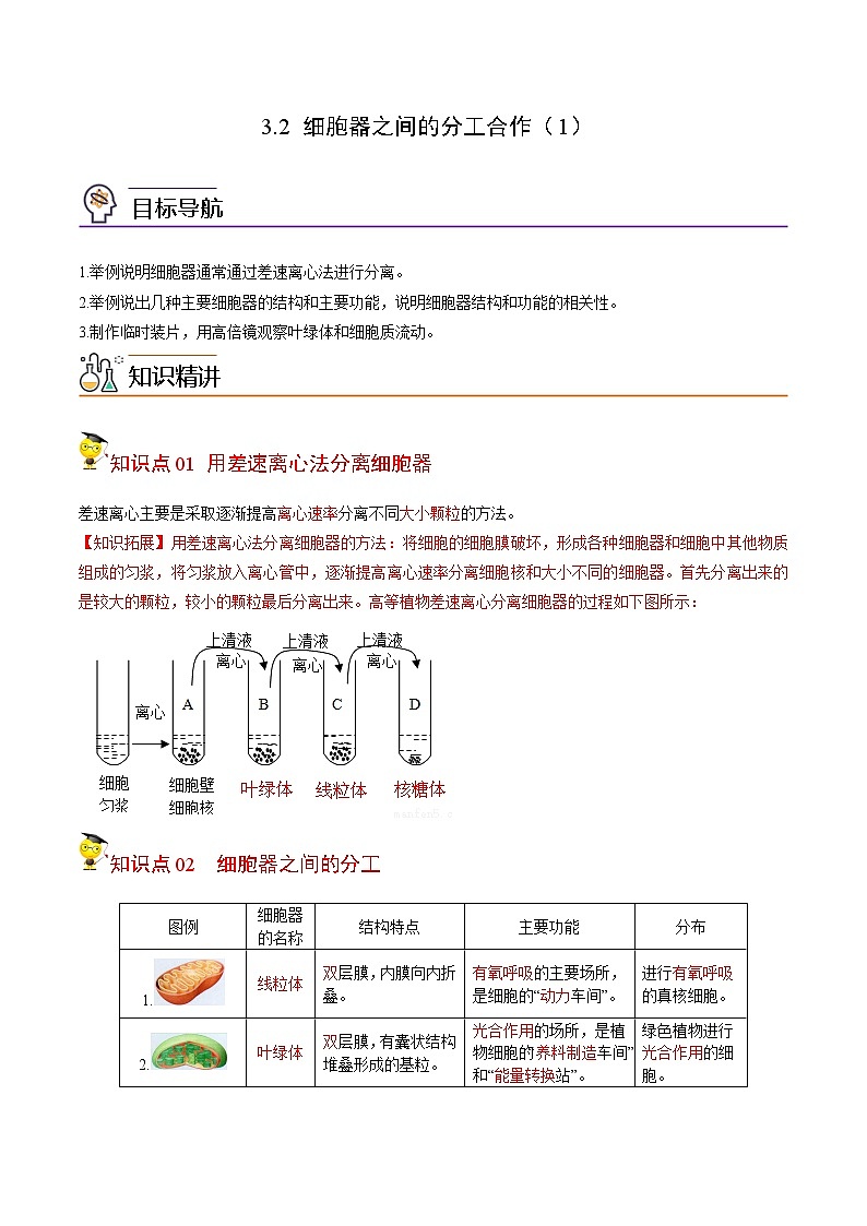 3.2 细胞器之间的分工合作（第1课时）（教师版）-高一生物同步精品讲义（人教2019必修1）第1页