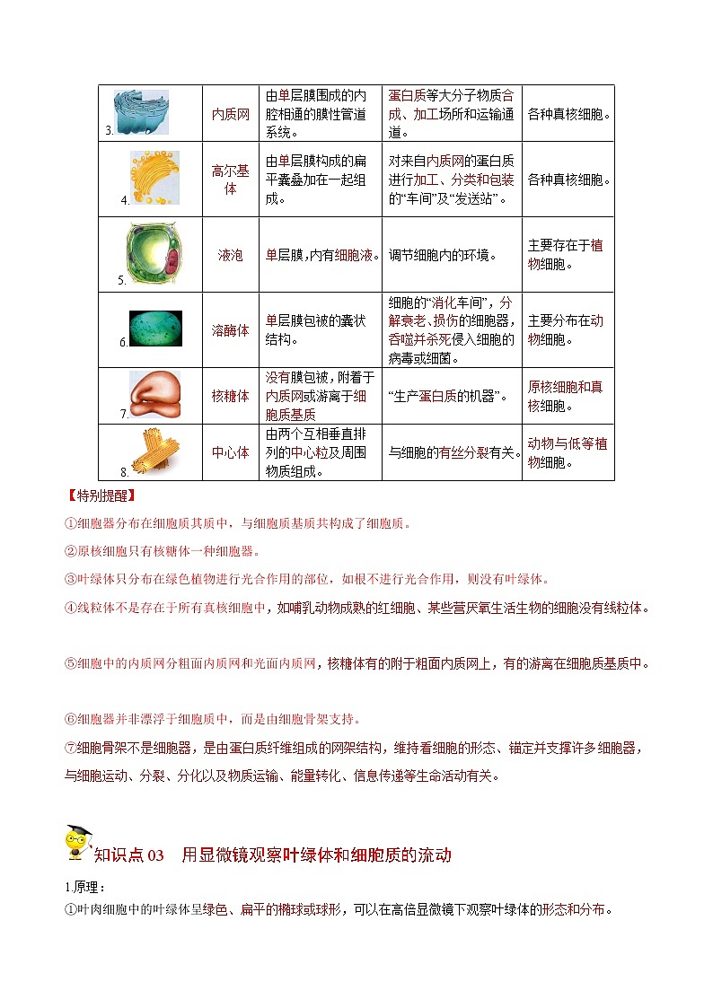 3.2 细胞器之间的分工合作（第1课时）（教师版）-高一生物同步精品讲义（人教2019必修1）第2页