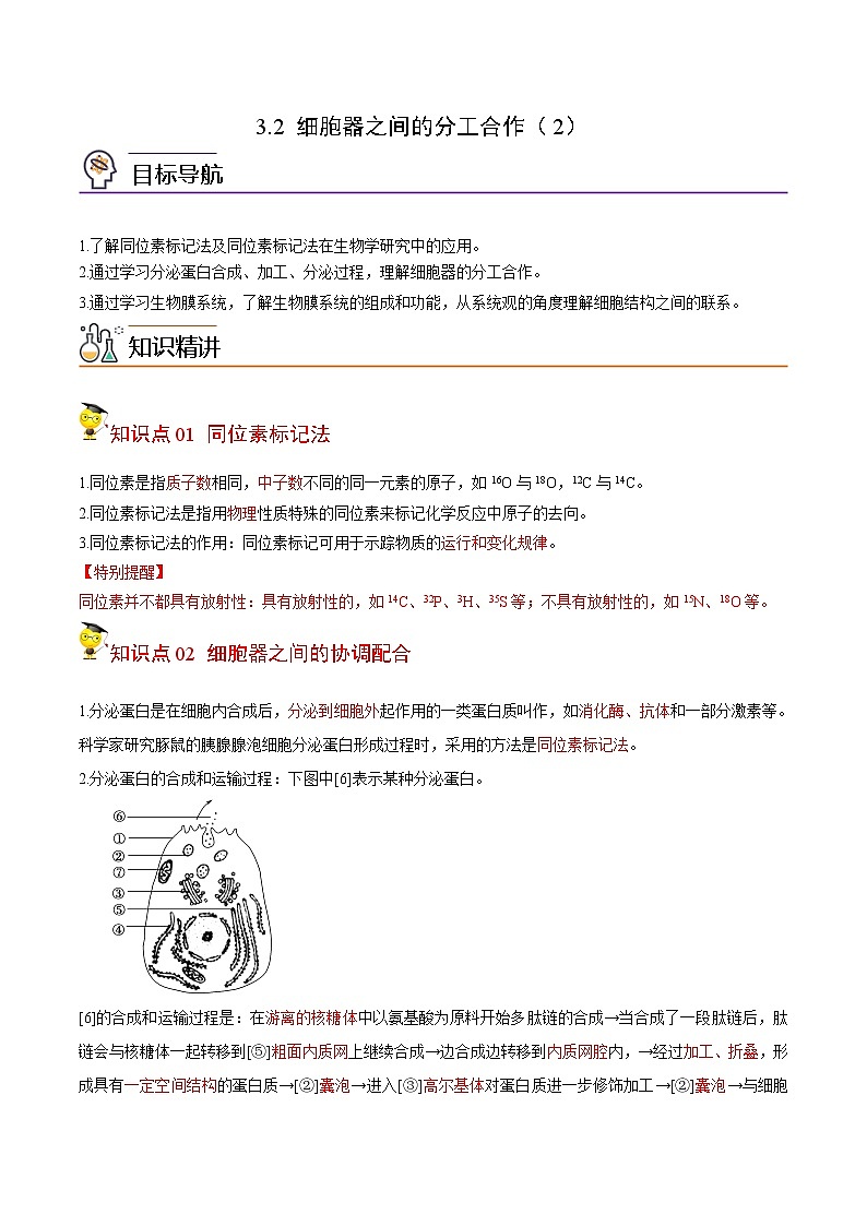 3.2 细胞器之间的分工合作（第2课时）（教师版）-高一生物同步精品讲义（人教2019必修1）第1页