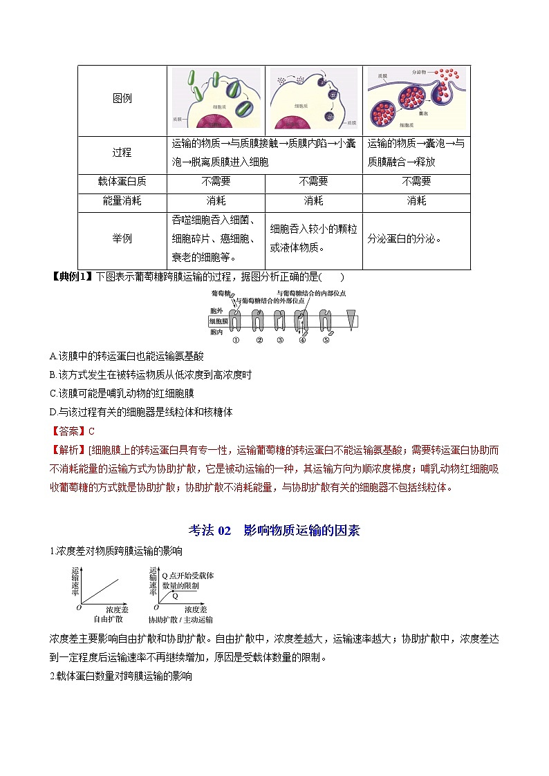 4.2 主动运输与胞吞、胞吐（教师版）-高一生物同步精品讲义（人教2019必修1）03