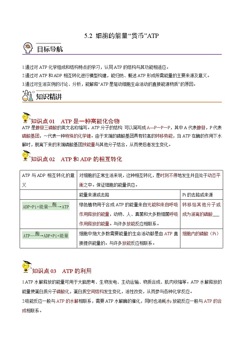 5.2 细胞的能量“货币”ATP（学生版）-高一生物同步精品讲义（人教2019必修1）01