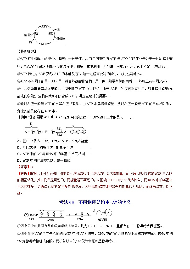 5.2 细胞的能量“货币”ATP（学生版）-高一生物同步精品讲义（人教2019必修1）03