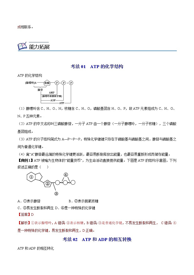 5.2 细胞的能量“货币”ATP（教师版）-高一生物同步精品讲义（人教2019必修1）02