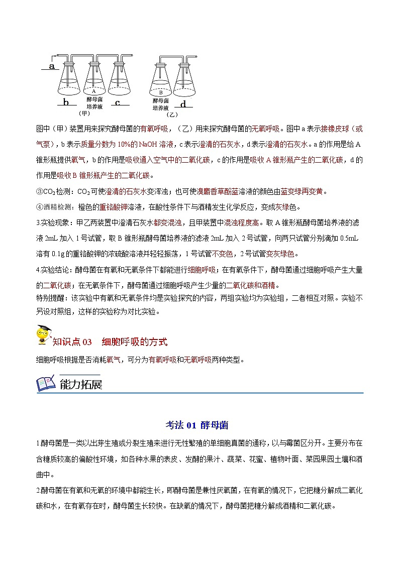 5.3 细胞呼吸的原理和应用（第1课时）（学生版）-高一生物同步精品讲义（人教2019必修1）02