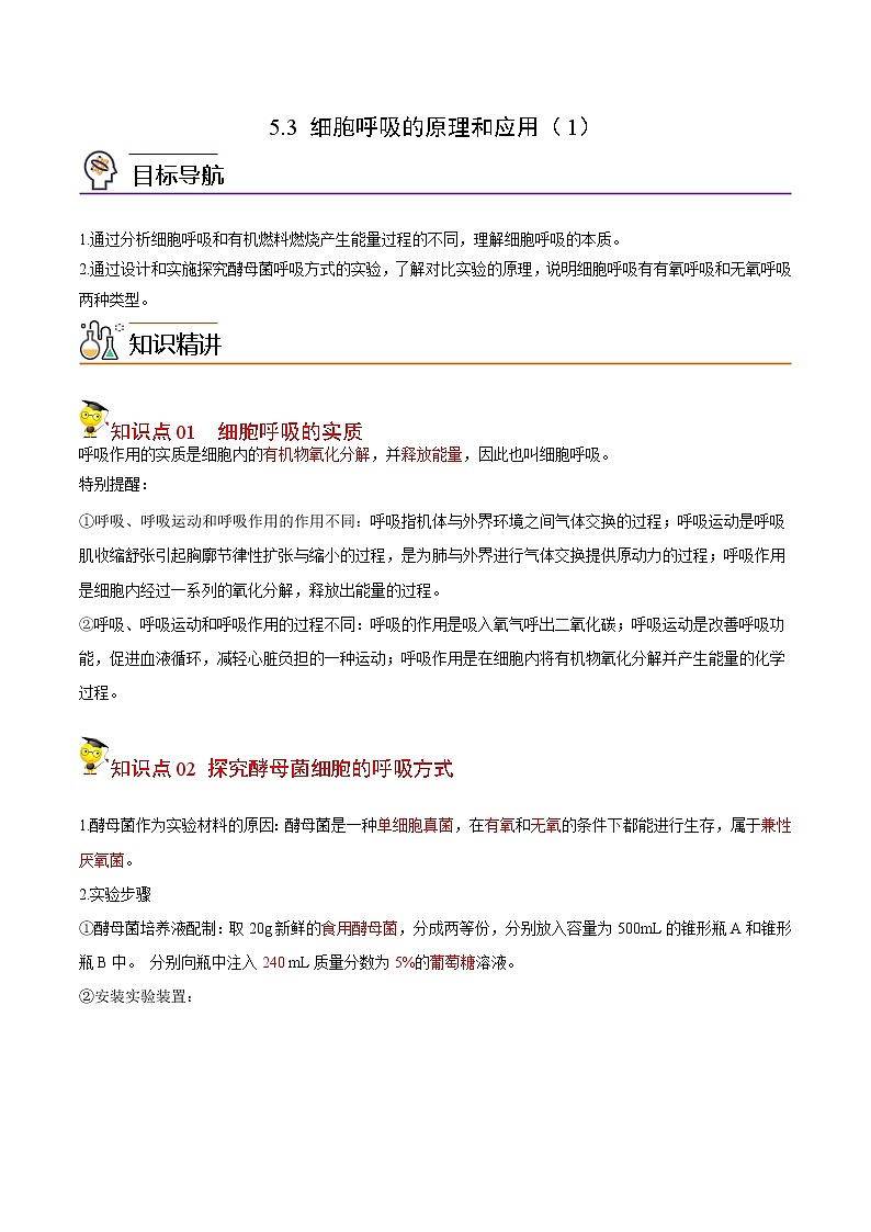 5.3 细胞呼吸的原理和应用（第1课时）（教师版）-高一生物同步精品讲义（人教2019必修1）01
