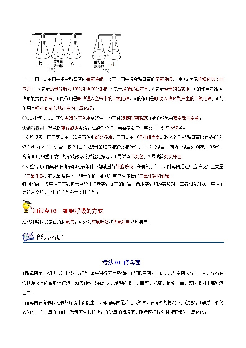 5.3 细胞呼吸的原理和应用（第1课时）（教师版）-高一生物同步精品讲义（人教2019必修1）02