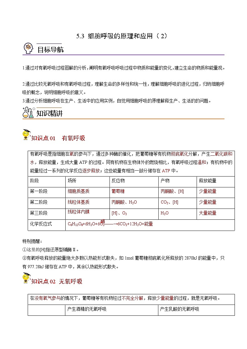5.3 细胞呼吸的原理和应用（第2课时）（教师版）-高一生物同步精品讲义（人教2019必修1）01