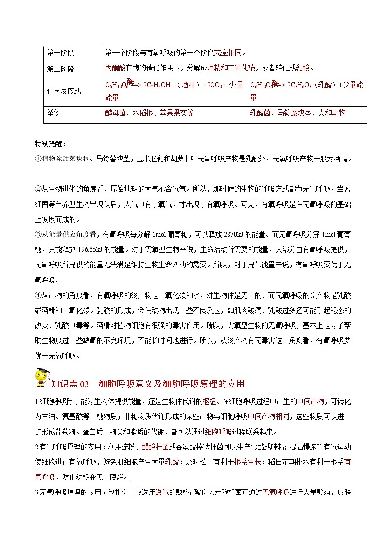 5.3 细胞呼吸的原理和应用（第2课时）（教师版）-高一生物同步精品讲义（人教2019必修1）02