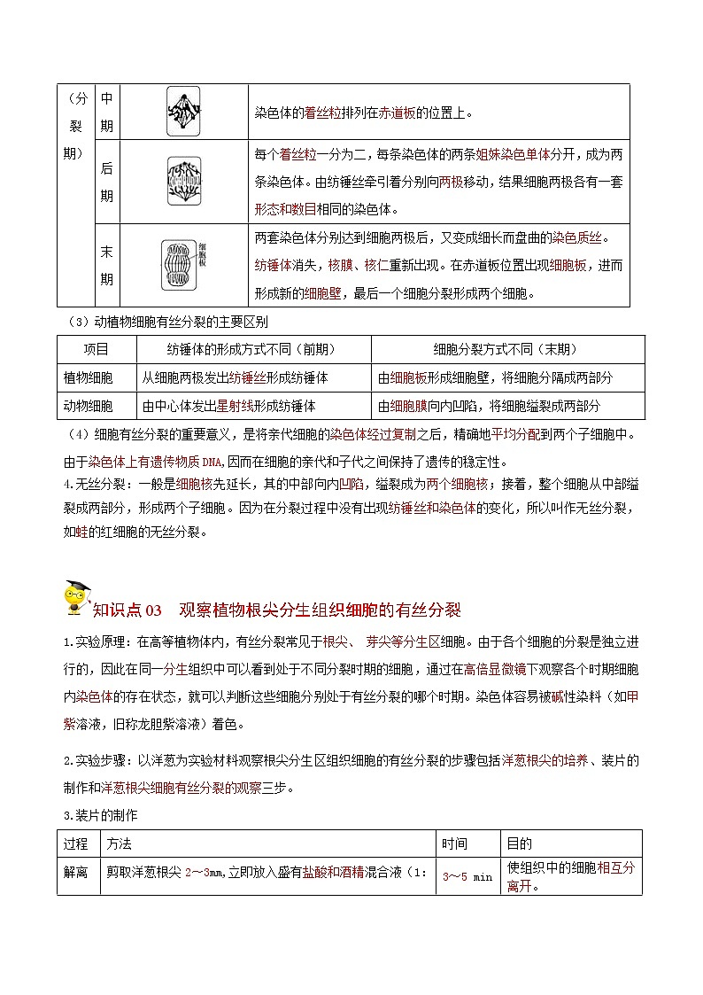 6.1 细胞的增殖（教师版）-高一生物同步精品讲义（人教2019必修1）02