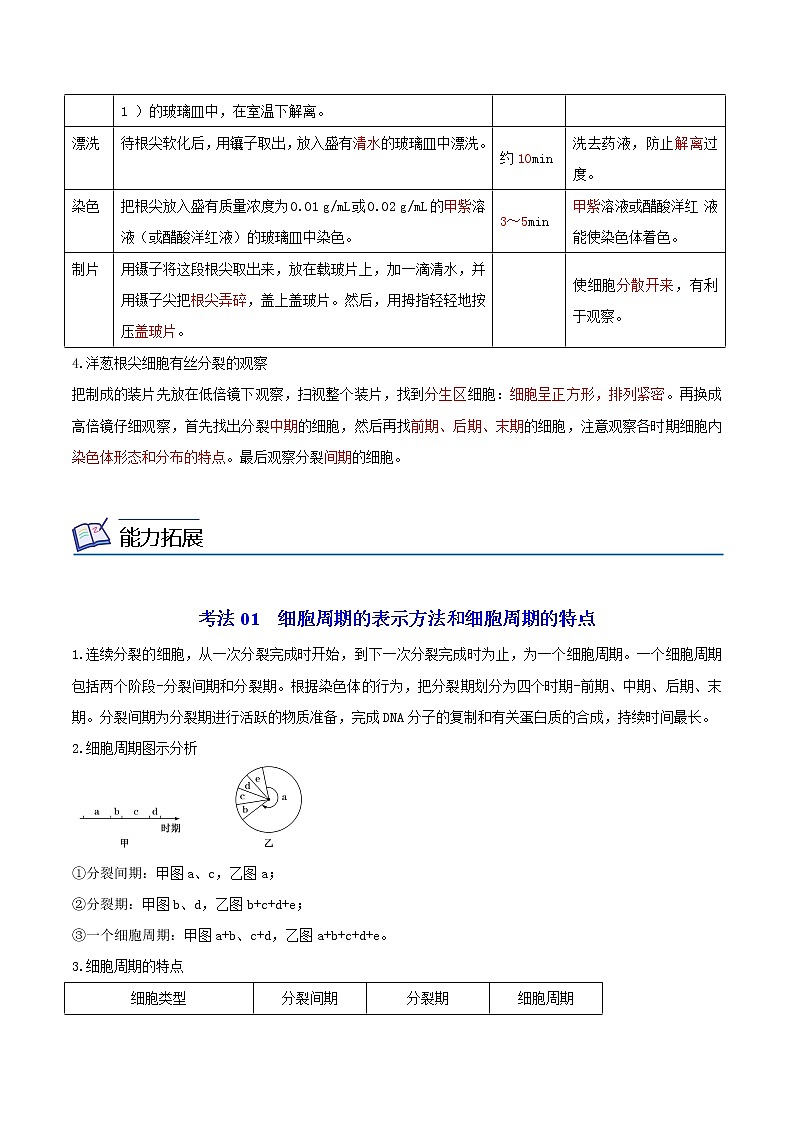 6.1 细胞的增殖（教师版）-高一生物同步精品讲义（人教2019必修1）03