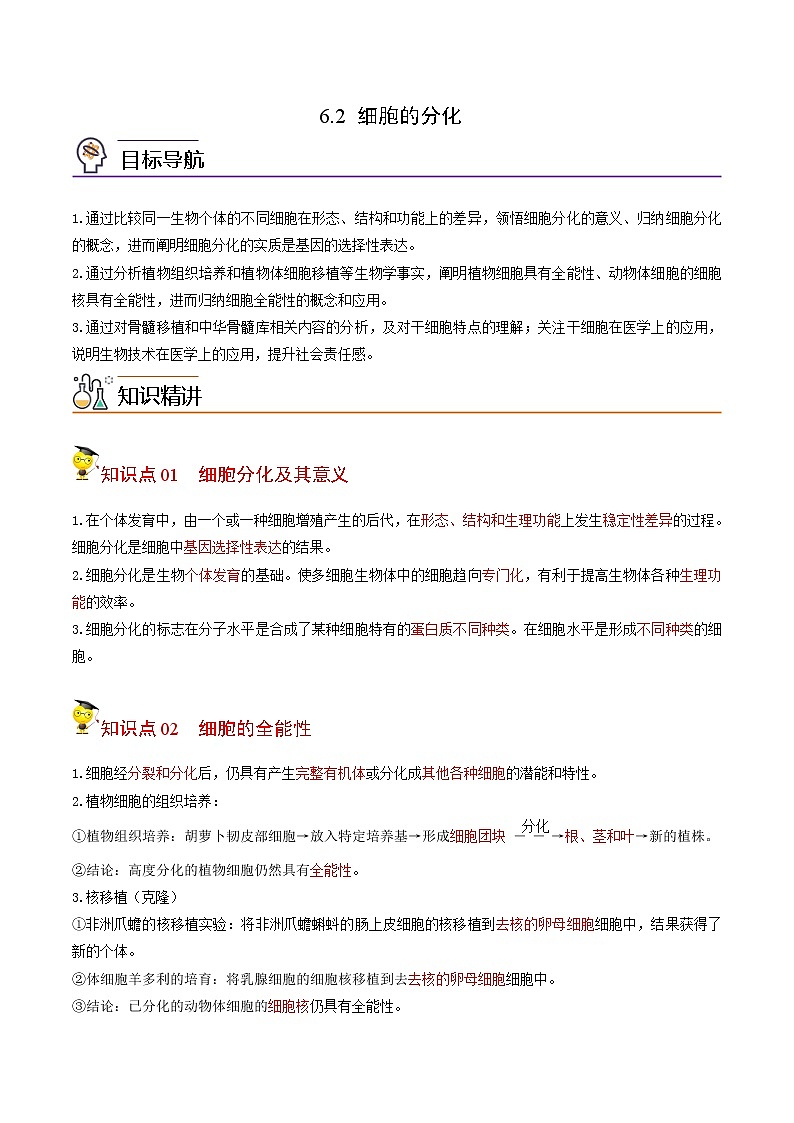 6.2 细胞的分化（教师版）-高一生物同步精品讲义（人教2019必修1）01