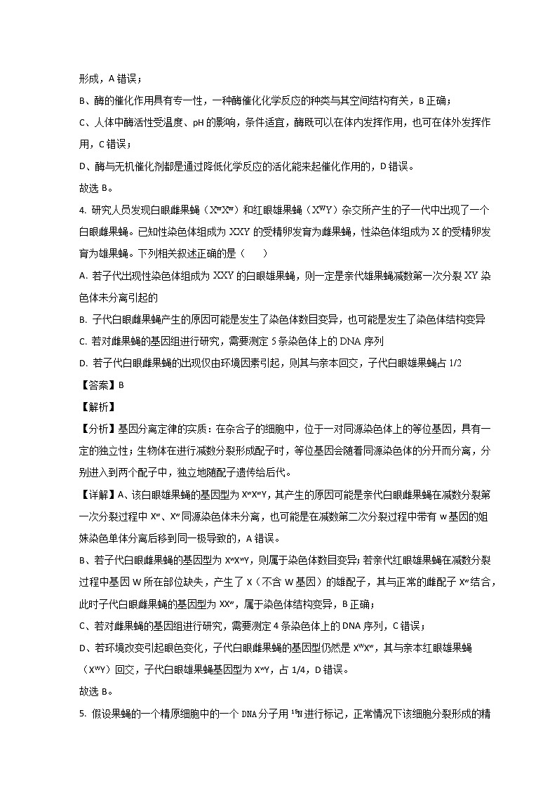 山东省青岛第二中学2023届高三上学期1月期末考试生物试题含解析第3页