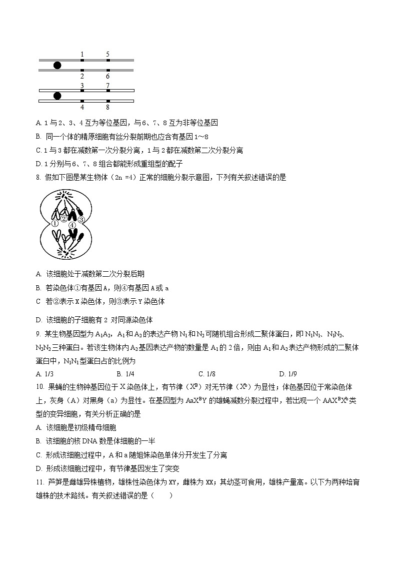 2023天津市十四中_高三上学期期末考试生物含答案第3页