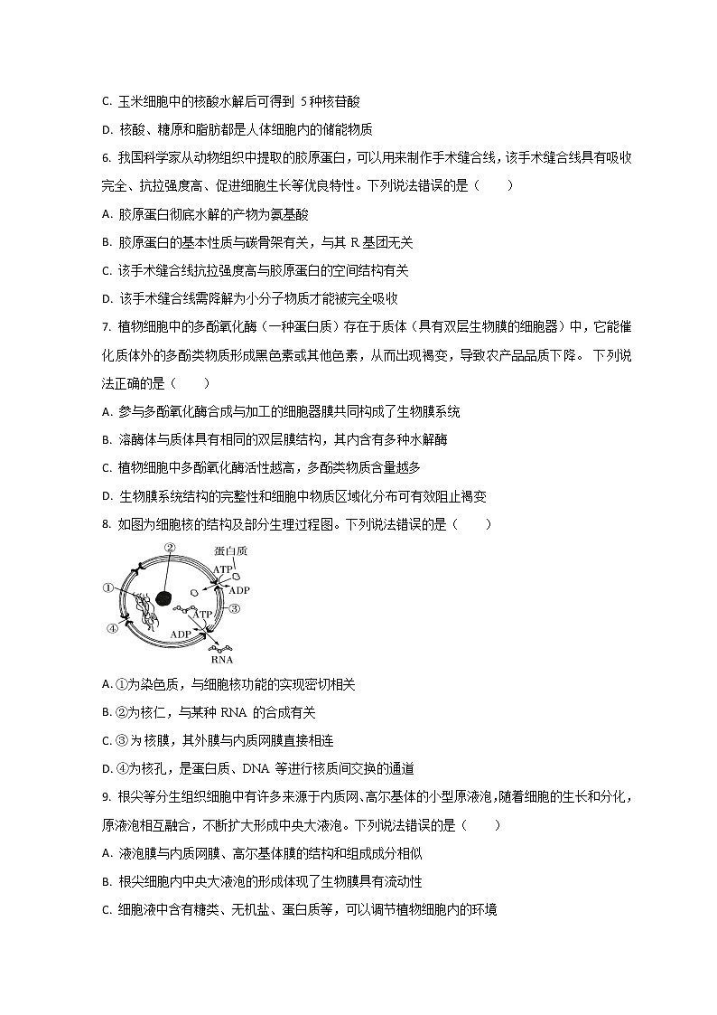 2023山东省某重点高中高一上学期期末考试生物试题含解析02