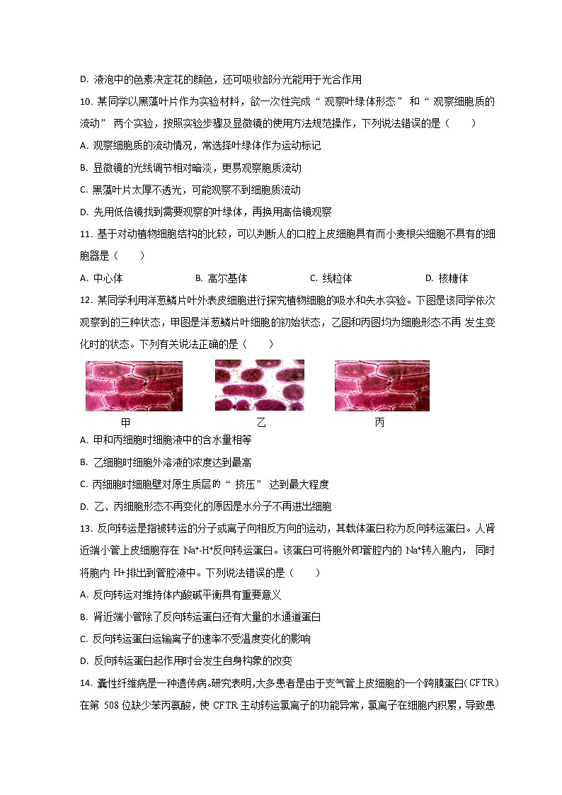 2023山东省某重点高中高一上学期期末考试生物试题含解析03