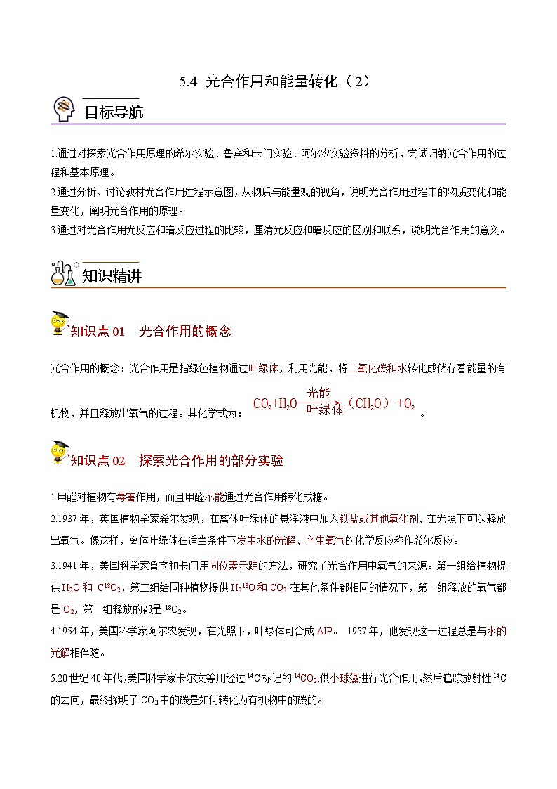5.4 光合作用和能量转化（第2课时）（教师版）-高一生物同步精品讲义（人教2019必修1）01