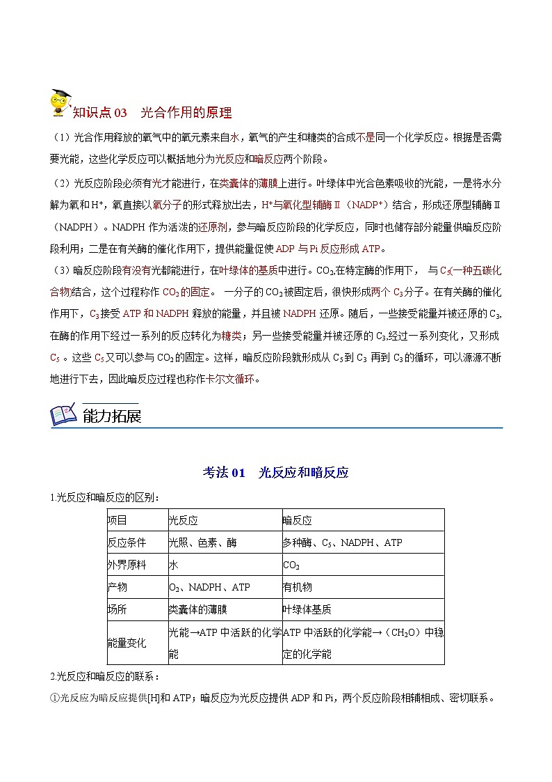 5.4 光合作用和能量转化（第2课时）（教师版）-高一生物同步精品讲义（人教2019必修1）02