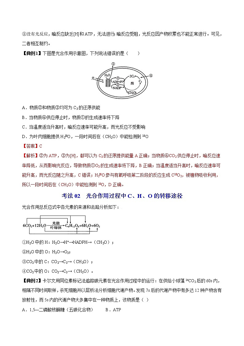 5.4 光合作用和能量转化（第2课时）（教师版）-高一生物同步精品讲义（人教2019必修1）03