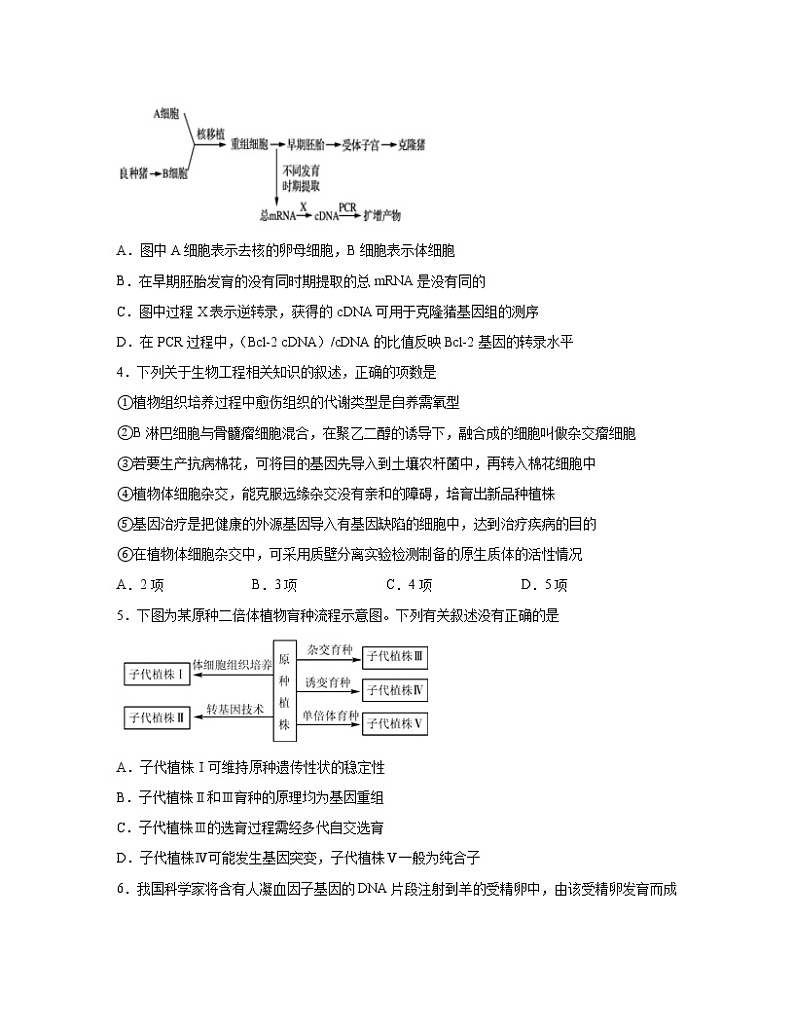 2022-2023学年山东省青岛市高二下册生物期末模拟试卷（AB卷）含解析第2页