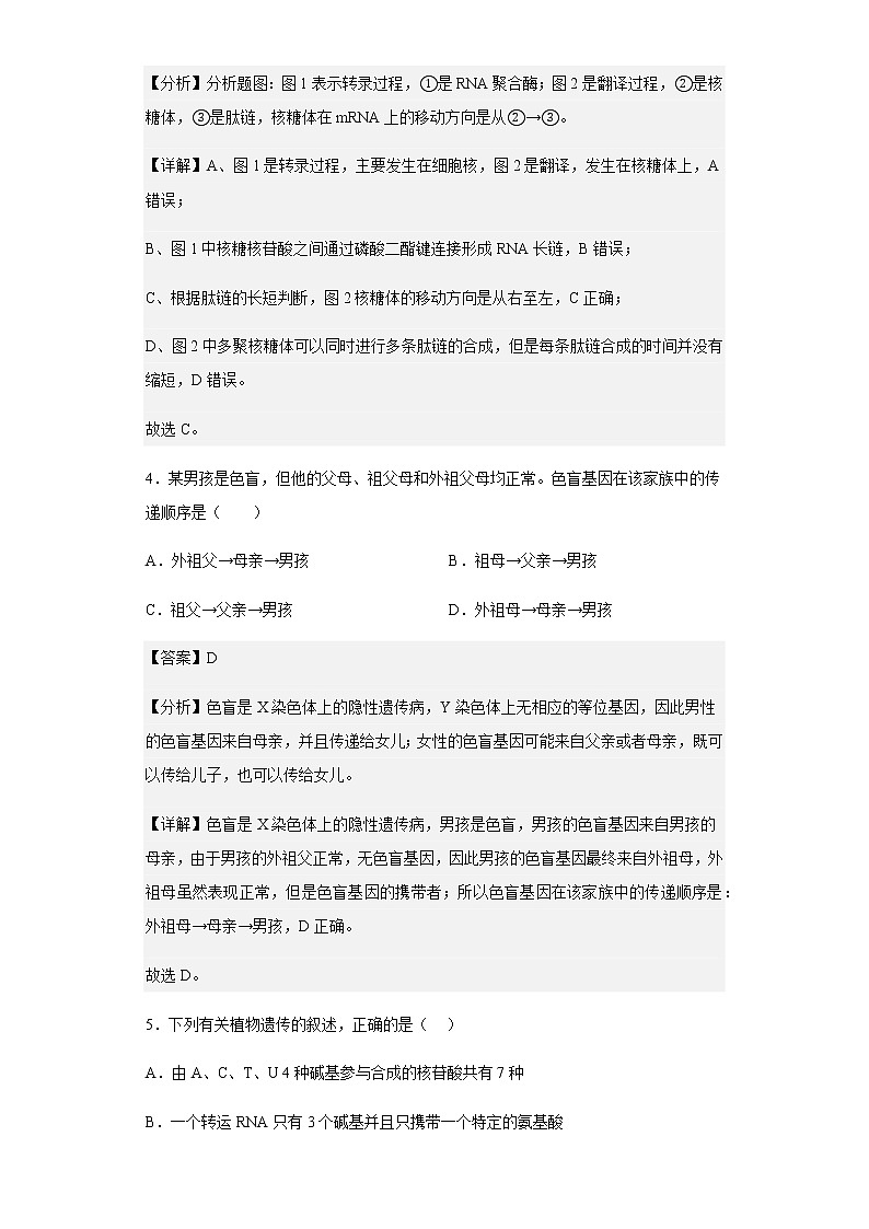 2020-2021学年河北省唐山市乐亭二中高一下学期第二次调研考试生物试题含解析03